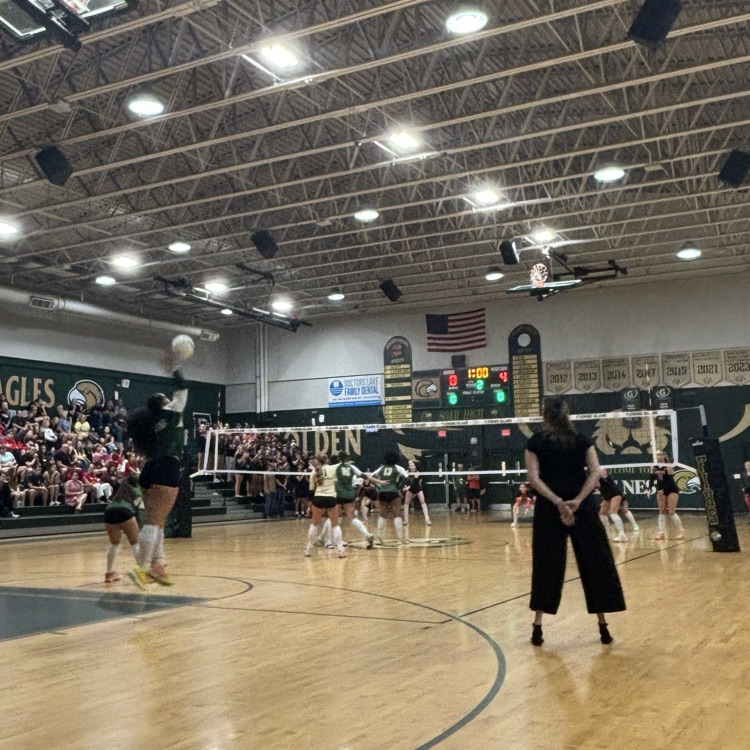 Volleyball