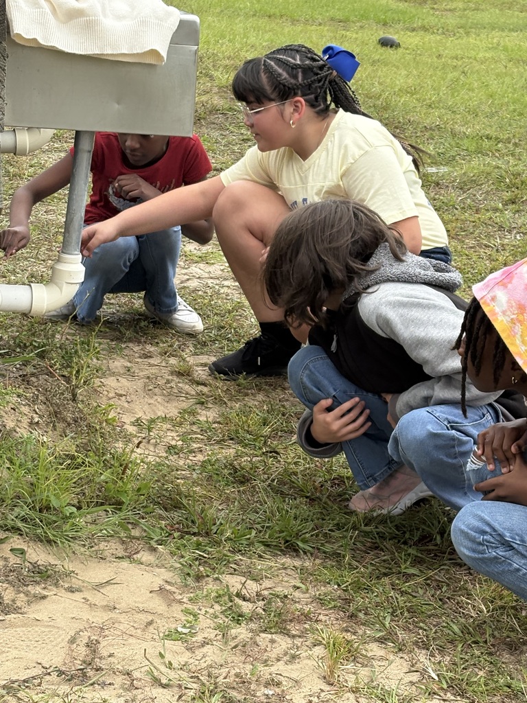 Four children crouch or kneel on grass outdoors. One points to an object and another wears a hat.