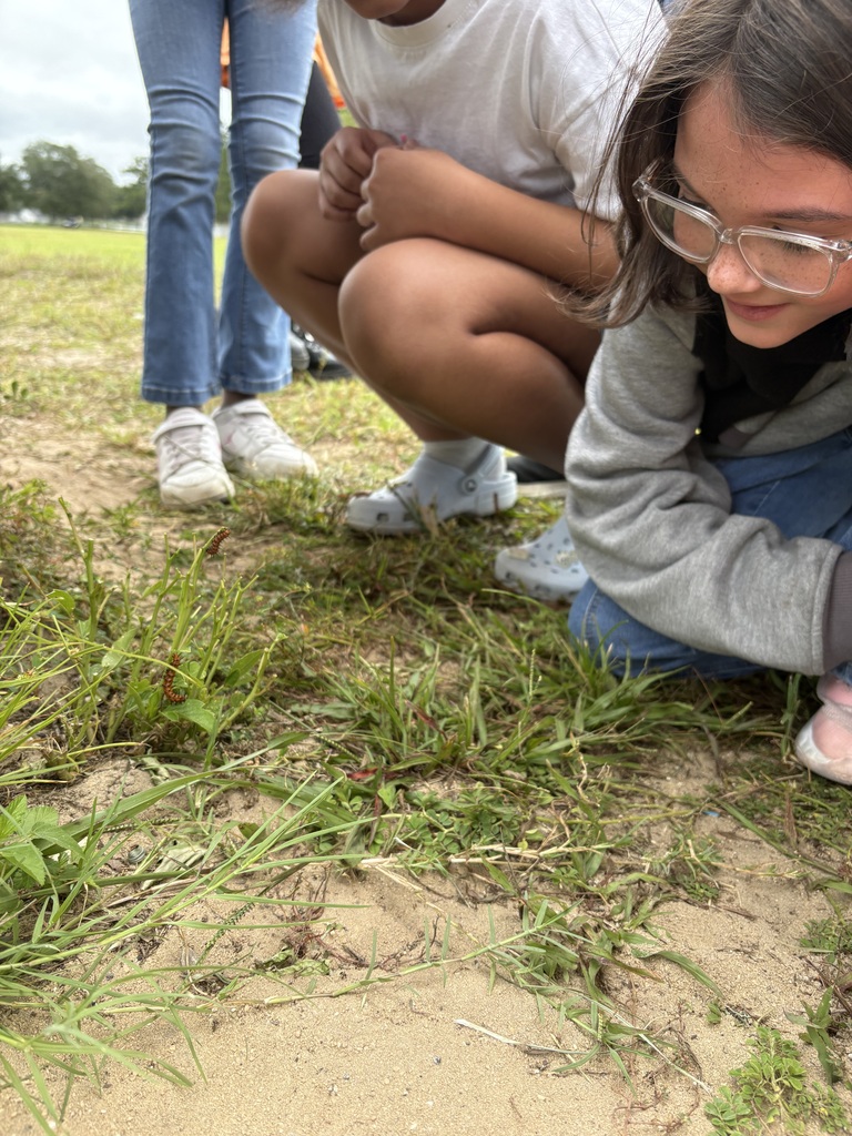 Two children crouch on grassy ground. One wears glasses and a gray sweater. The other wears a white shirt and blue jeans.