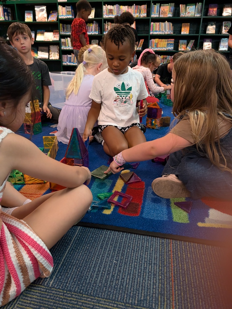 A group of children play with blocks on a blue carpet in a room with bookshelves.