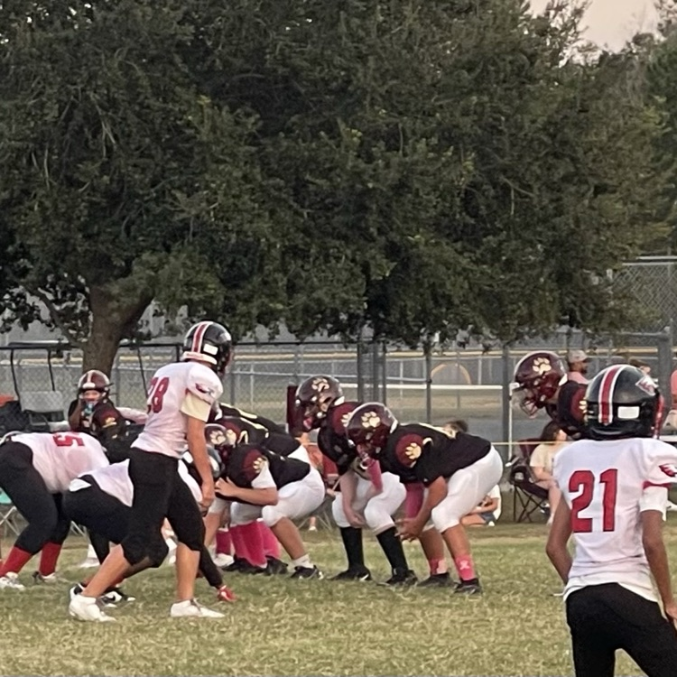 LAJ vs. WJH Pink Out football game