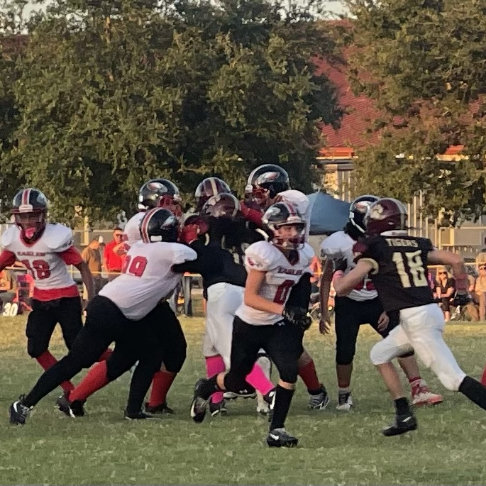 LAJ vs. WJH Pink Out football game