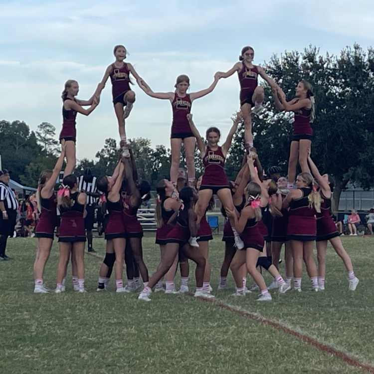LAJ vs. WJH Pink Out football game