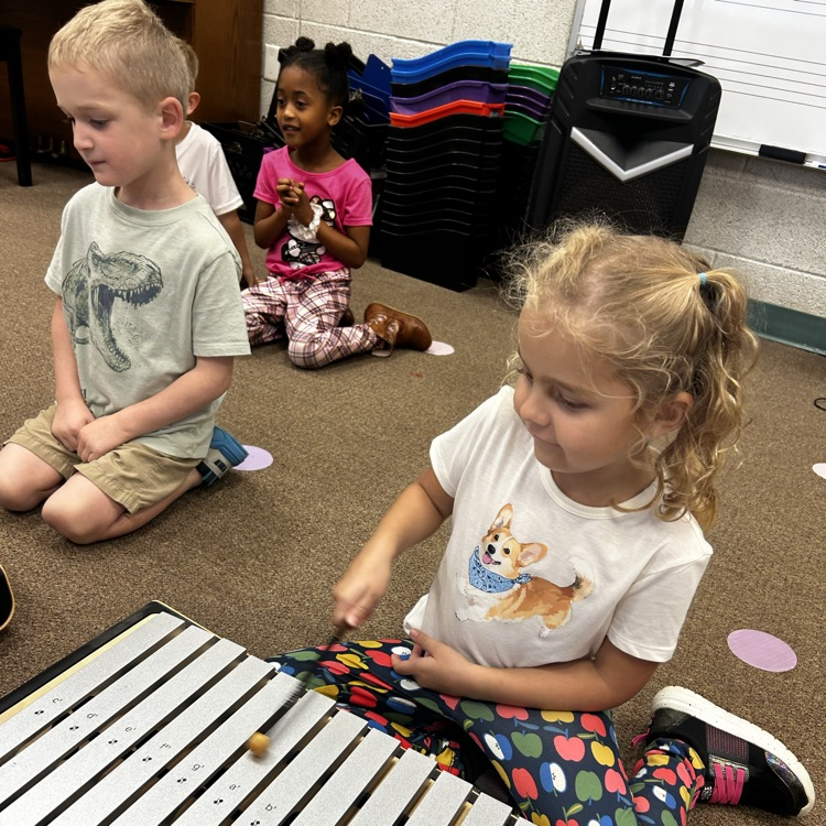 xylophone