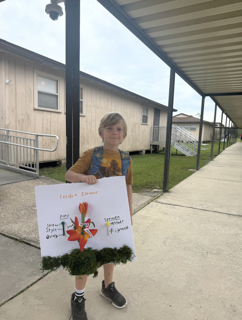 A student displays his parts of a flower project
