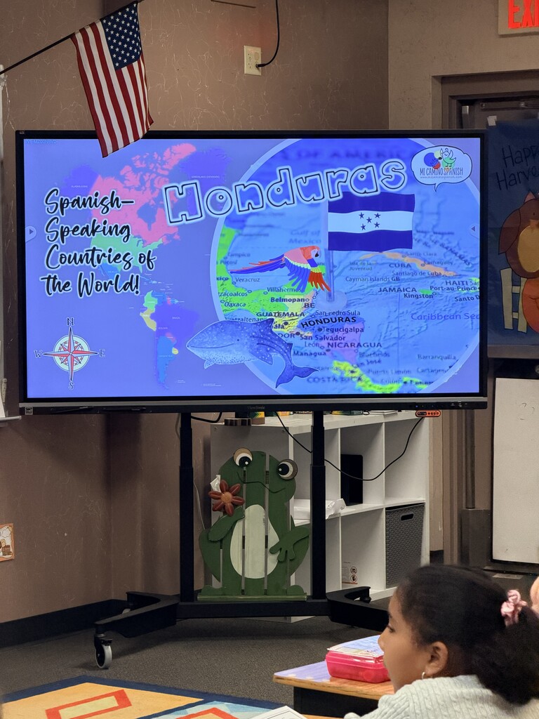 Monitor displays map with words. Person sits at desk in front of monitor. American flag hangs above monitor.