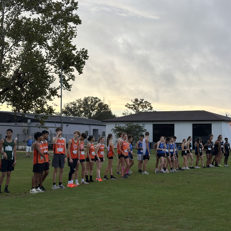 Cross Country Meet
