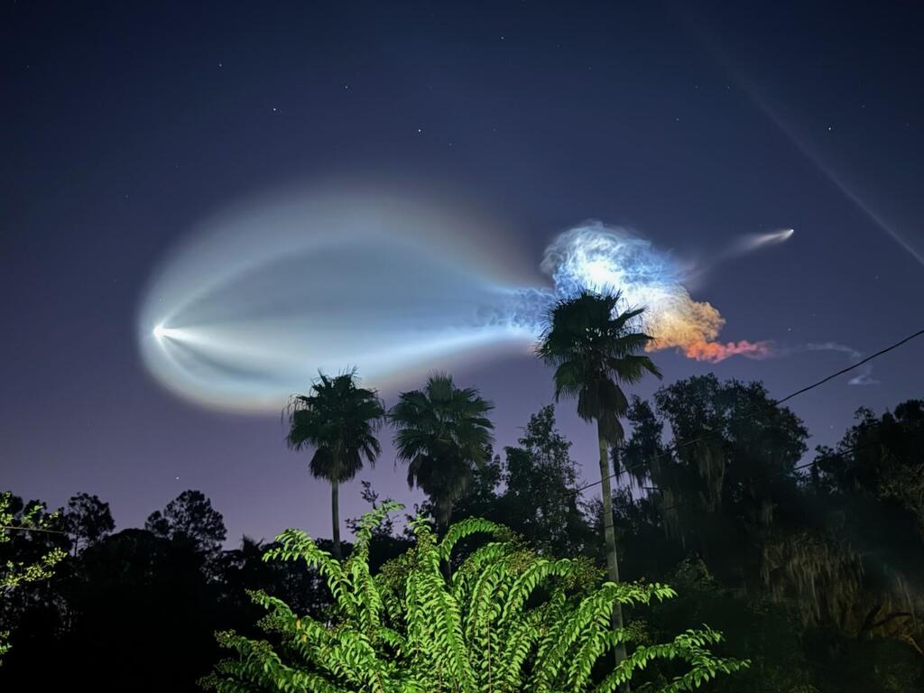 Night sky with a rocket leaving a long white trail. Palm trees and other greenery in the foreground.