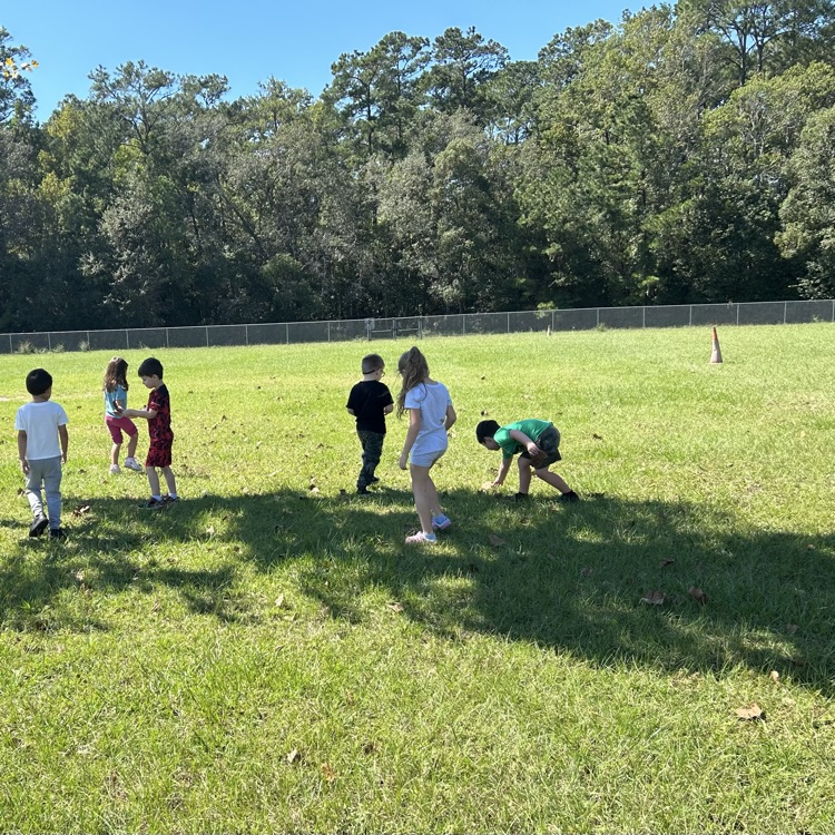 Bennett Bee nature artists