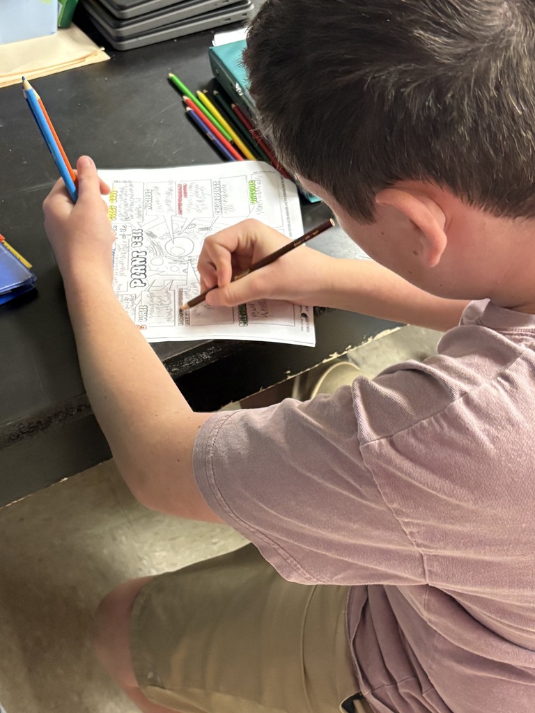 A person is sitting at a desk, coloring a worksheet with a pencil. Pens and pencils are on the table.