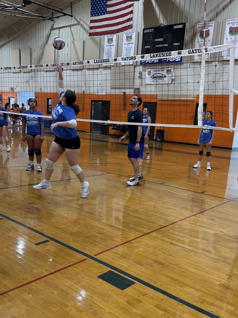 Volleyball player jumping, reaching for the ball above the net. Other players standing nearby. Indoor court with USA flag.
