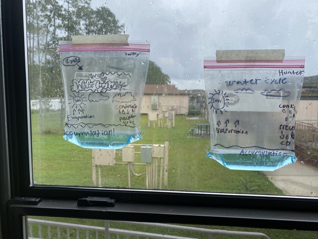Two plastic bags with drawings hang from a window, showing blue liquid inside. Behind them, a grassy field and houses are visible.