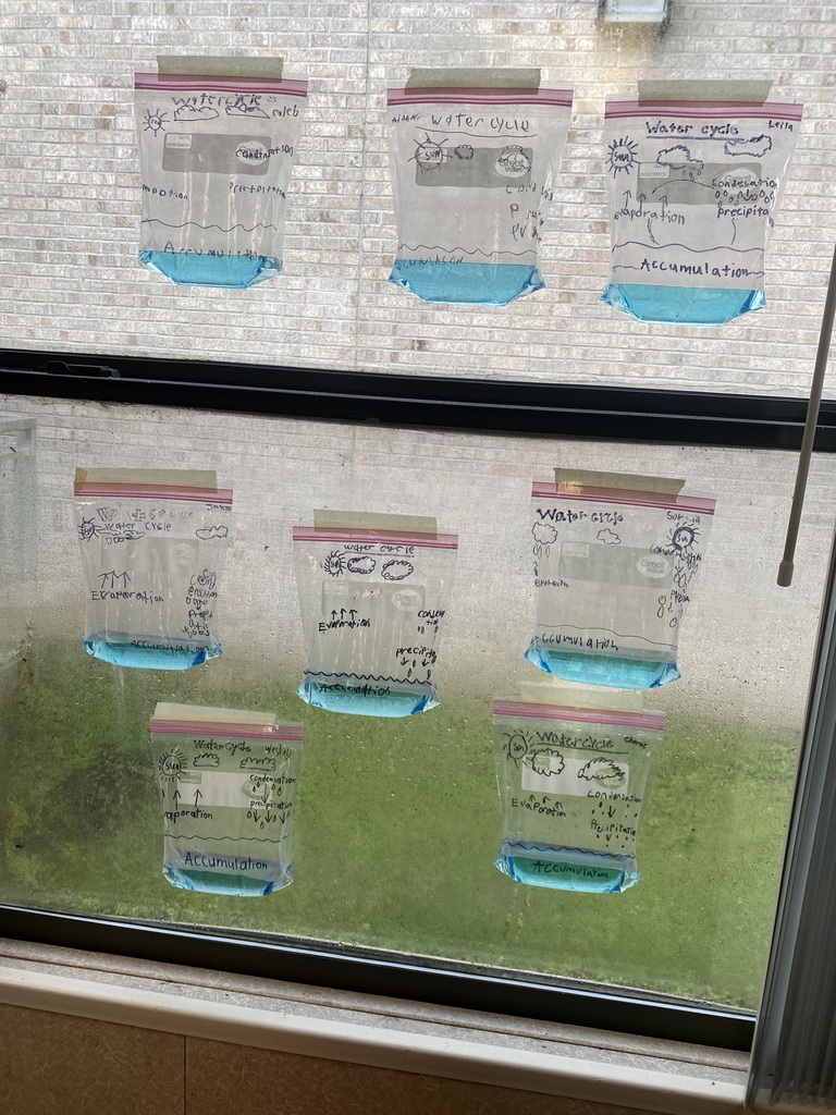 Six transparent containers with blue water inside are on a glass window. The background is a brick wall.