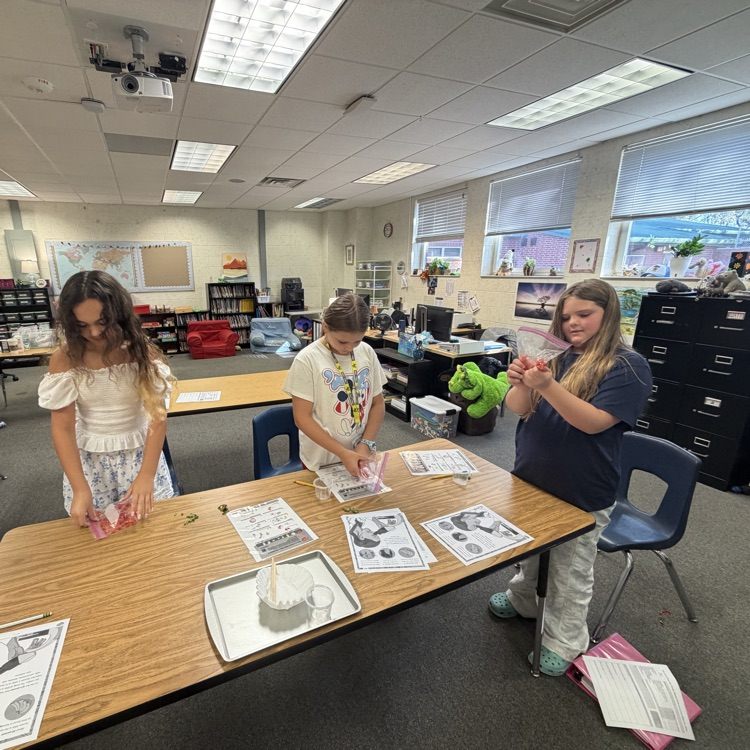students at tables