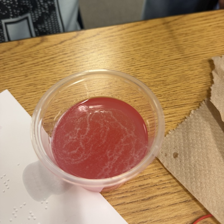 red liquid in cup
