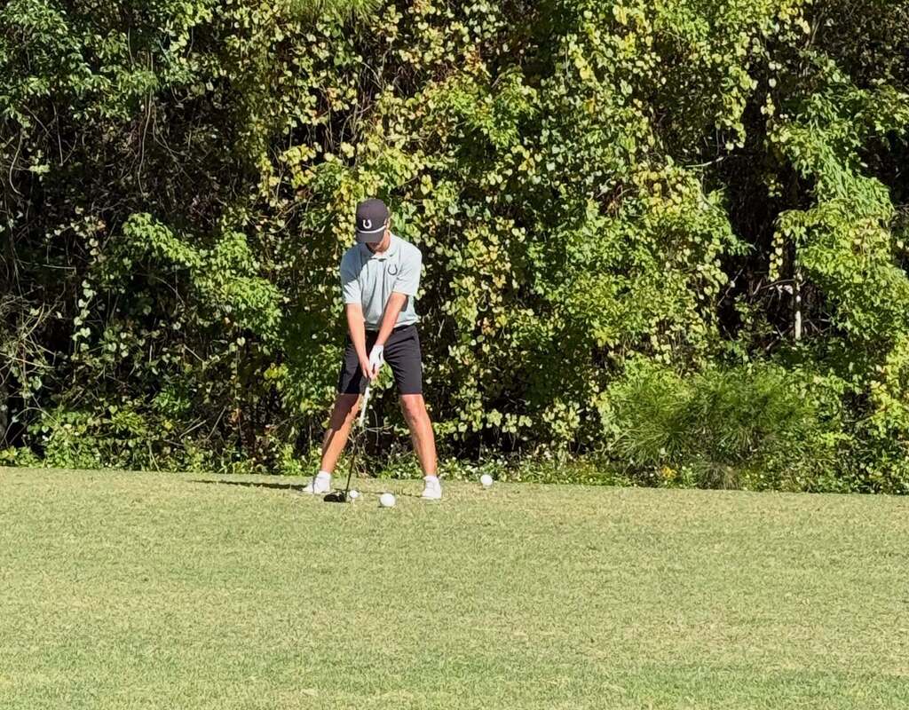 A golfer prepares to swing on a golf course with lush trees in the background.