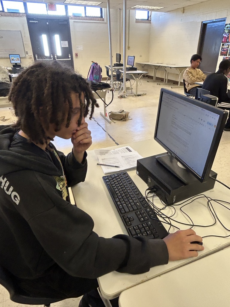 Student at computer, one hand on chin, other hand on mouse, looking at computer screen.