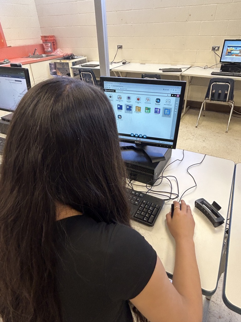 Student sits at a computer, typing on a keyboard, with screen displaying icons, in a room with other computers.