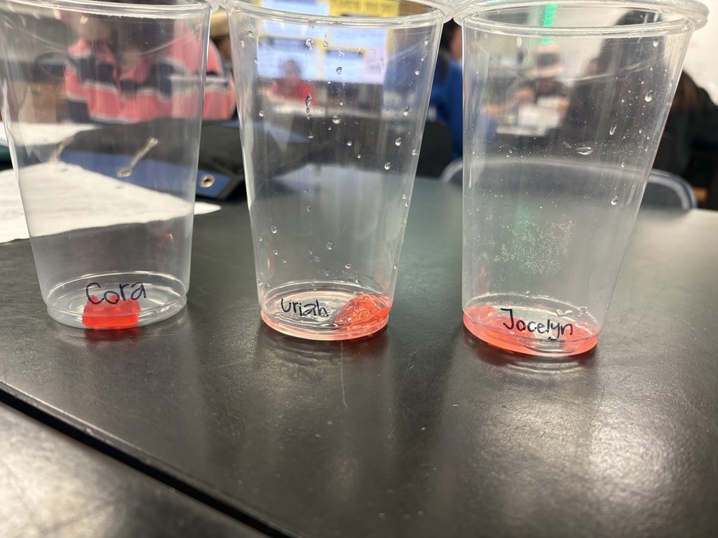 Three clear plastic cups on a black surface. Each cup contains water and a red substance. Names are written on the cups.