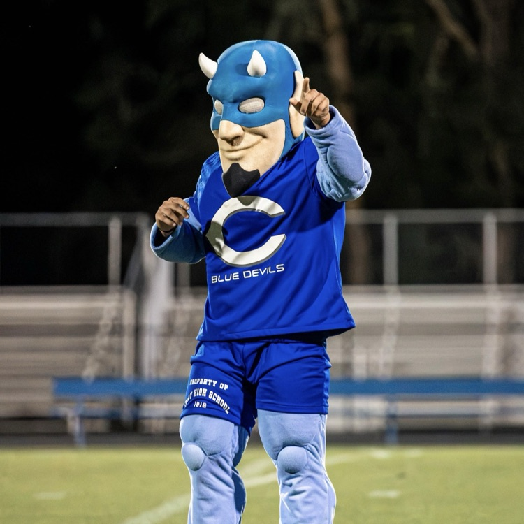 Person in blue mascot costume and mask standing on a football field at night.