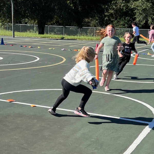 Bennett Bees in PE