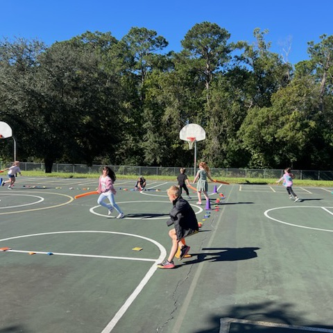 Bennett Bees in PE