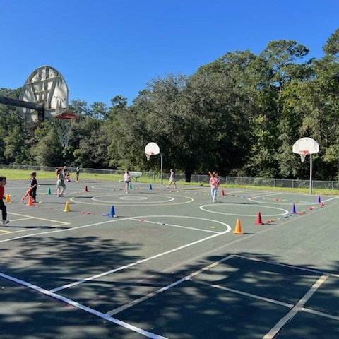 Bennett Bees in PE