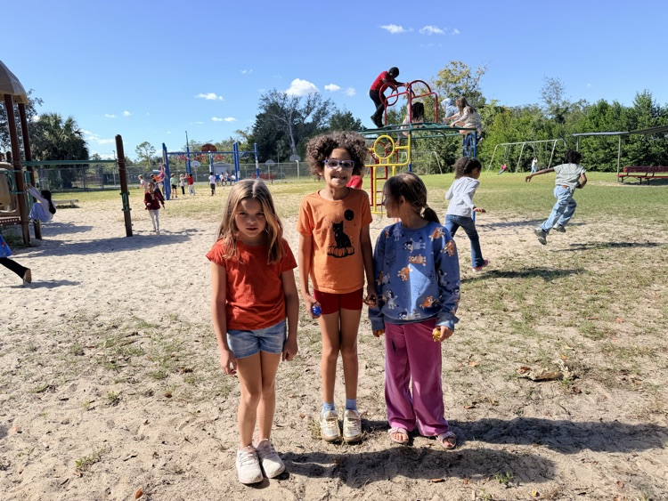 Four children in a playground with a slide and other equipment. Two of the children are talking.