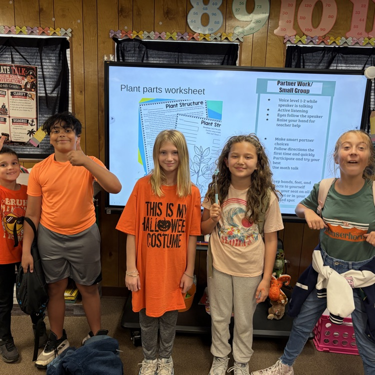 students wearing orange
