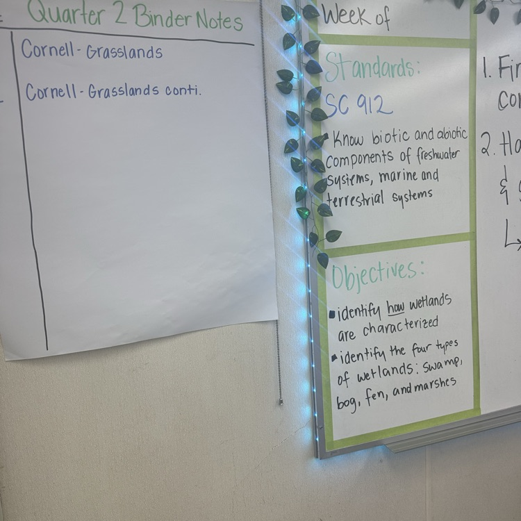 Whiteboard with green leaves, text includes "Quarter 2 Binder Notes" and "Week of Cornell Grasslands", and "Objectives: Identify how wetlands are characterized".