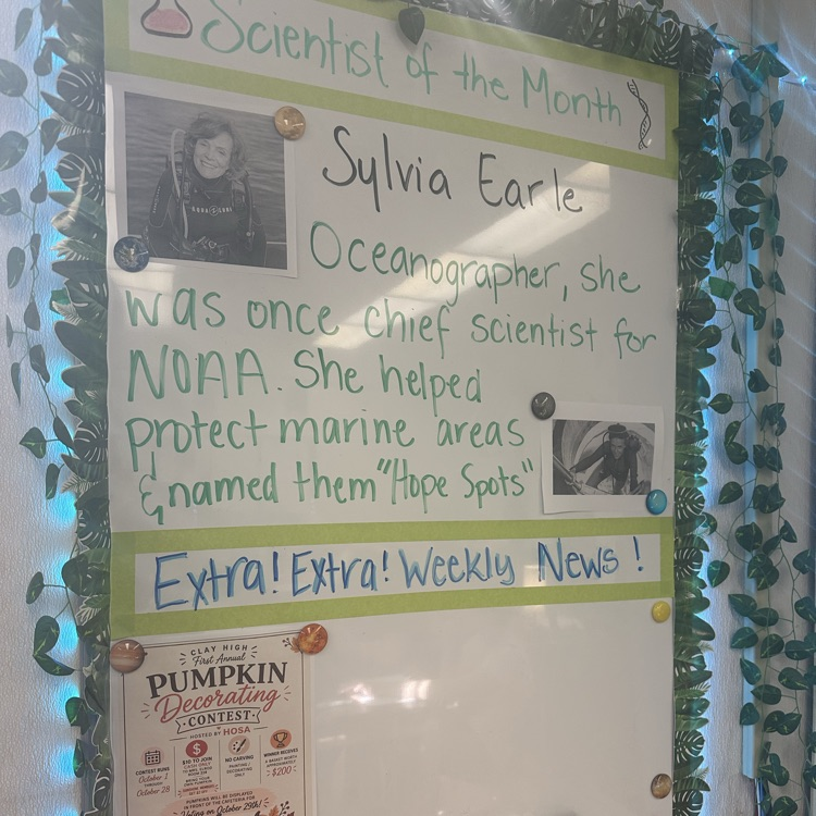 Display board with Sylvia Earle's photo, "Scientist of the Month" title, facts about her, and weekly news.