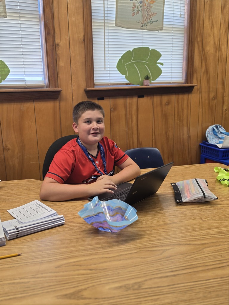 A student in a red shirt sits at a desk using a laptop, with a bowl nearby.