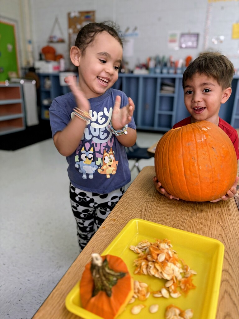 🎃 Pumpkin Investigation Unit: Complete! 🎃 Our young Manatees turned into mini-scientists today for a hands-on Pumpkin Investigation! 🕵️♂️✨ They put on their thinking caps to explore: 🎨 Colors (from bright orange to subtle greens!) 📐 Shapes (round, oval, tall, and squat!) ✨ Attributes (bumpy, smooth, heavy, and ribbed!) Hands-on learning is the best learning!