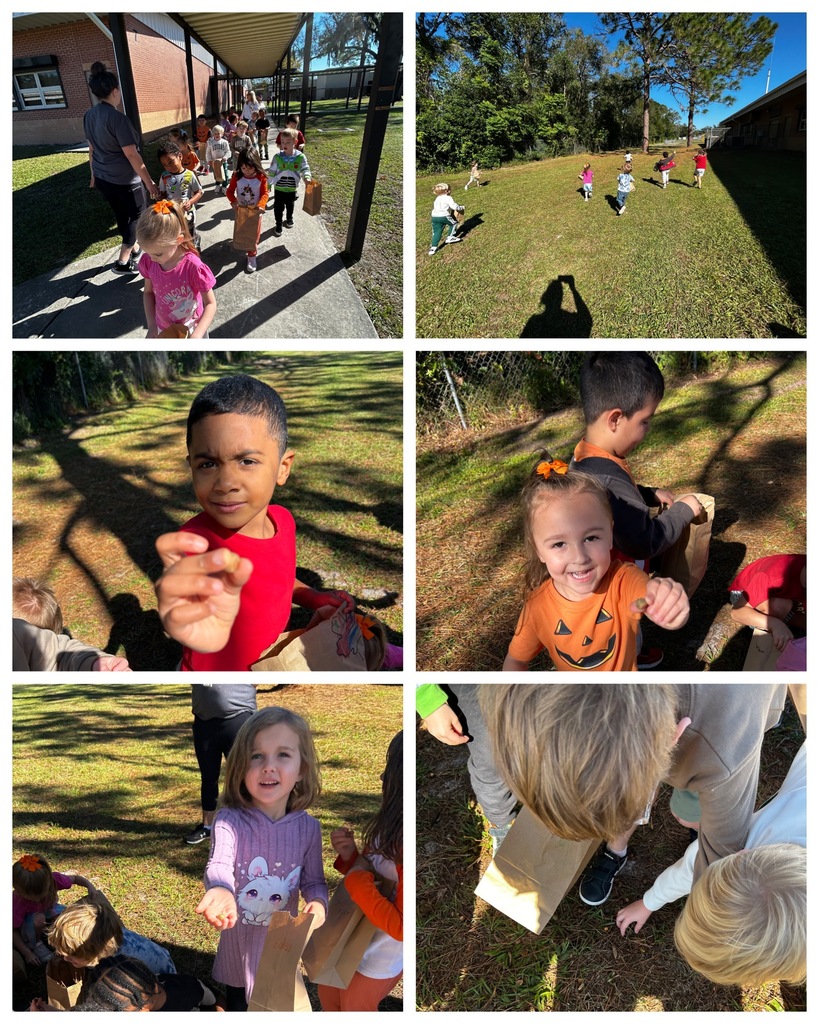 Collage of six photos of students on grassy ground and sidewalk. Kids carry bags and some are picking up objects.