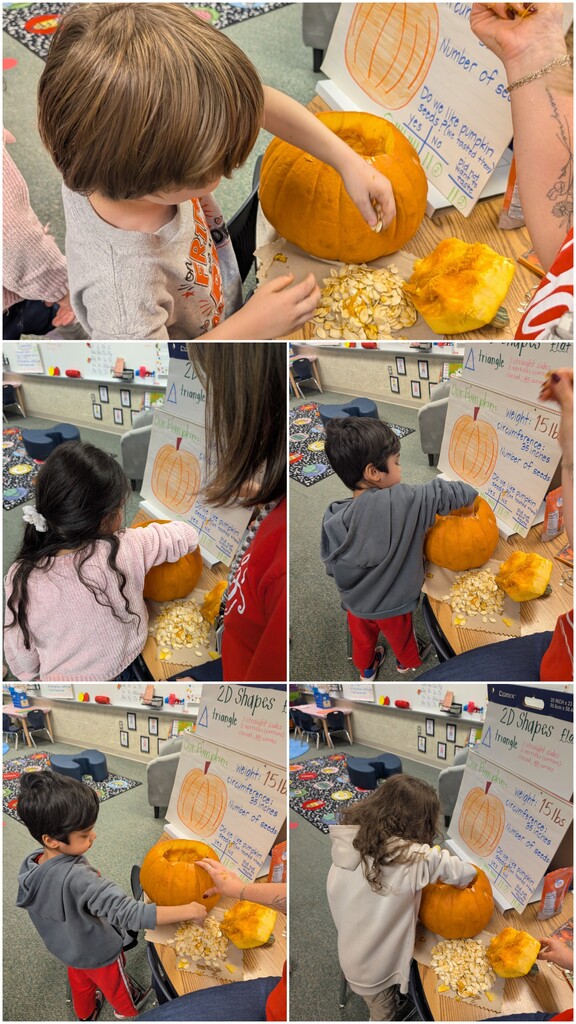 Multiple students carve pumpkins with seeds visible. They work with a paper with pumpkin shape outlines.
