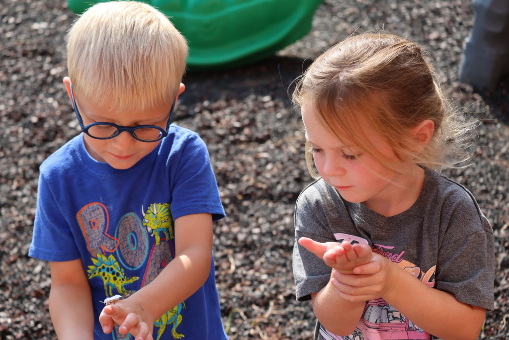 There's a WHOLE LOT going on in the half and full-day Pre-K classrooms! #celebrate379