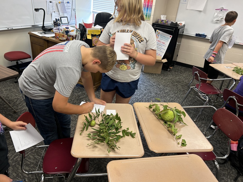 In Mr. Sleichter’s 6th grade elective "Exploring Agriculture and Natural Resources," students are introduced to the broad field of Agriculture and the natural resources all around them.  Through hands-on activities, students learn to find and identify common trees,  grasses, forbs, mammals, fish, herpetofauna, and insects.  Today, the students explored the “big ditch” in front of the school and quickly found 10 of the plants on their list.   Students who enjoy this class can come back as 8th graders and study and compete in the Ecomeet at the Milford Nature Center in October.  #celebrate379