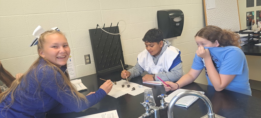 🦉🔍 Last week, Mrs. Trembath’s 7th graders got hands-on with science by dissecting owl pellets!  Some thought it was a little gross… but also super fascinating. As they discovered bones and pieced together what the owl had eaten, students learned about food webs—and even got to play detective! 🕵️‍♂️🕵️‍♀️  Who knew science could be such a hoot? #celebrate379