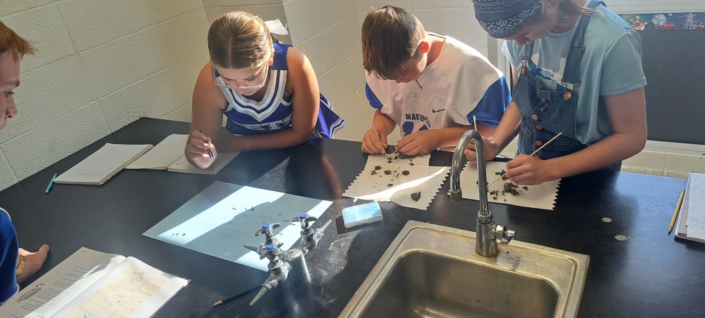 🦉🔍 Last week, Mrs. Trembath’s 7th graders got hands-on with science by dissecting owl pellets!  Some thought it was a little gross… but also super fascinating. As they discovered bones and pieced together what the owl had eaten, students learned about food webs—and even got to play detective! 🕵️‍♂️🕵️‍♀️  Who knew science could be such a hoot? #celebrate379