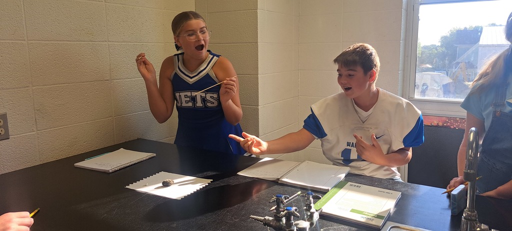 🦉🔍 Last week, Mrs. Trembath’s 7th graders got hands-on with science by dissecting owl pellets!  Some thought it was a little gross… but also super fascinating. As they discovered bones and pieced together what the owl had eaten, students learned about food webs—and even got to play detective! 🕵️‍♂️🕵️‍♀️  Who knew science could be such a hoot? #celebrate379