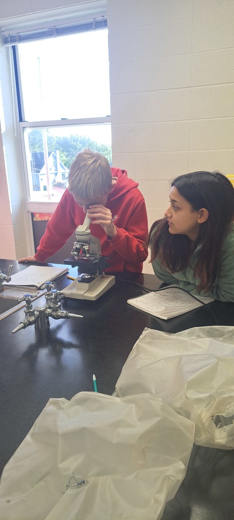 🔬 Wakefield 7th graders explored Paramecium under the microscope this week in Mrs. Trembath's science class! 🌊✨ They mastered focusing skills and learned how even the tiniest organisms play a BIG role in keeping ecosystems healthy. 🌱🌍 #celebrate379