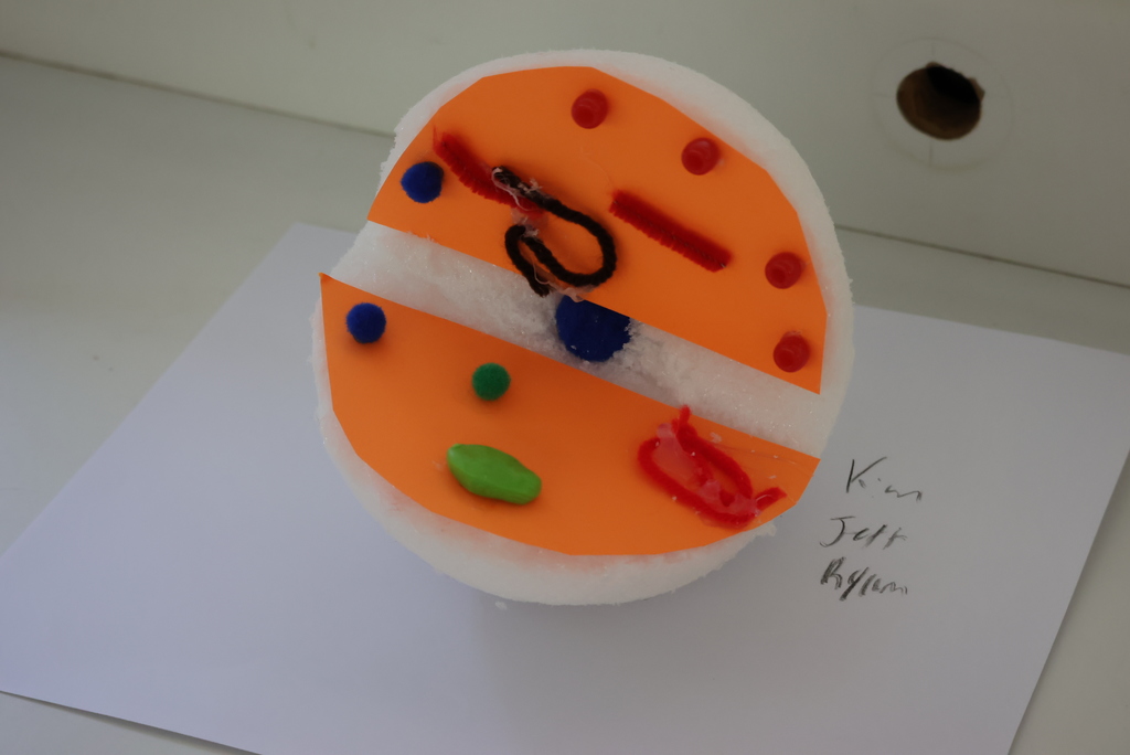 Mr. Wildeman is the new Biology/A&P teacher at CCCHS and has been doing a great job! Today, his Biology students were working on building cell models to be able to describe the different organelles and their functions inside these cells. Students had to research different cells before creating their masterpieces! #celebrate379
