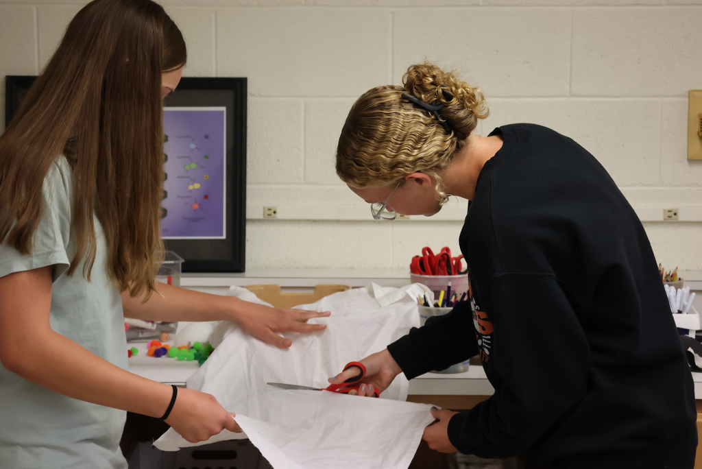 Mr. Wildeman is the new Biology/A&P teacher at CCCHS and has been doing a great job! Today, his Biology students were working on building cell models to be able to describe the different organelles and their functions inside these cells. Students had to research different cells before creating their masterpieces! #celebrate379