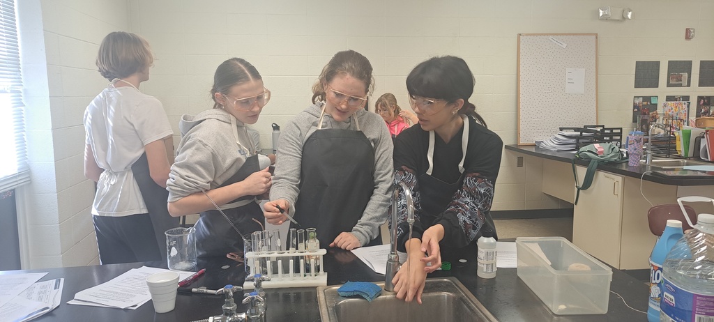 Mrs. Trembath's Biology students explored diffusion with a hands-on lab. Using dialysis tubing to represent a semi-permeable membrane, they discovered that tiny glucose molecules can pass through, while bigger starch molecules cannot. This is why our bodies must break down starch into glucose—so our cells can transport and use it for energy! #celebrate379