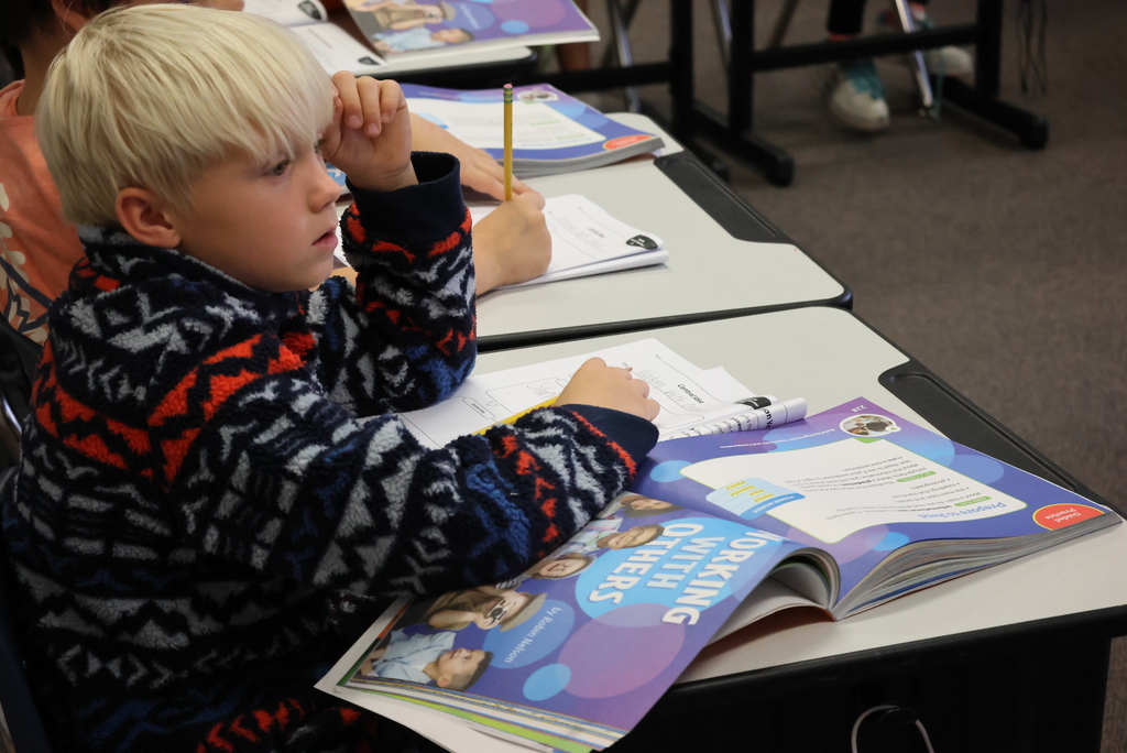 Mrs. Weller's second graders were working hard this morning on finding the central idea of a story. They had read a story in its entirety yesterday and now had to decide what it was all about. #celebrate379