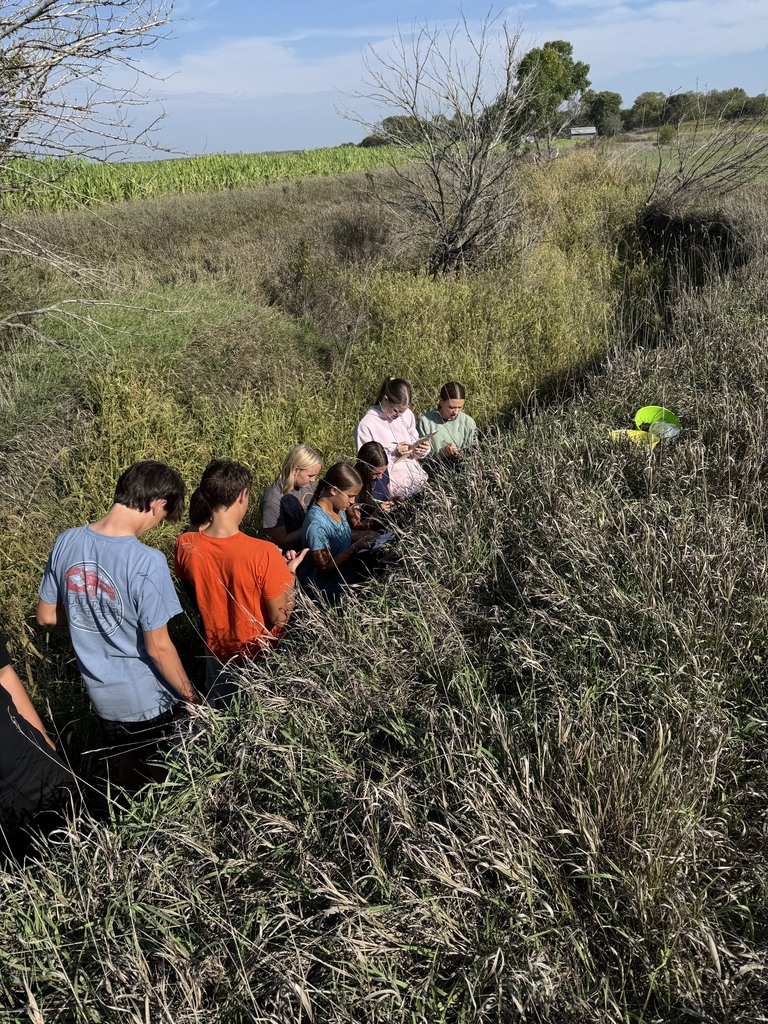 Mr. Craig's freshman Ag 101 class has had a busy and successful first quarter! Students in the class have learned about various careers in agriculture, planned a community service project, and done in-depth explorations of soil science and management, and dairy farm management. The class made visits to community farms operated by Erica and AJ Carlson, Rick Chaffee, and Cott Family Farms to look at various soil profiles. The class also visited the Wohler family's 4J dairy to learn about the daily responsibilities of the dairy farmer. All these experiences have led to success in FFA competitions! The Clay Center team placed 2nd at the Land/Soils evaluation (tied for 1st!), and took 1st place in the Dairy Cattle Evaluation competition. Various students have had top-10 performances throughout the school year thus far.