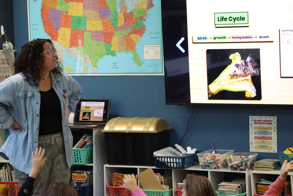 Ms. Brownell teaches science in 3rd grade. This week they are focusing on the life cycles of animals. Did you know that bats live for an average of 20 years?! #celebrate379