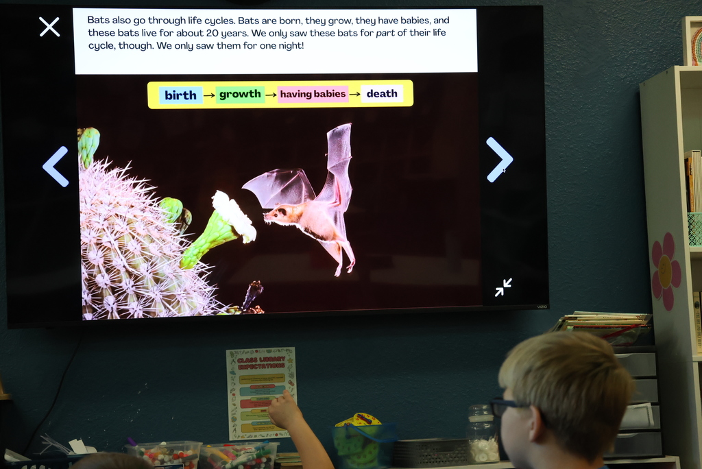 Ms. Brownell teaches science in 3rd grade. This week they are focusing on the life cycles of animals. Did you know that bats live for an average of 20 years?! #celebrate379