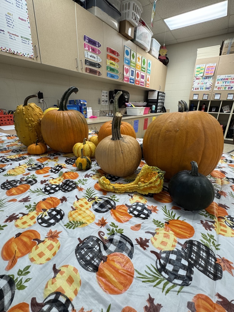 It’s Pumpkinology Week in Mrs. Shannon's classroom! Their learning is underway, and students already know quite a bit about pumpkins and how they grow from seed to pumpkin. They will be doing more exploring using their 5 senses later in the week. #celebrate379