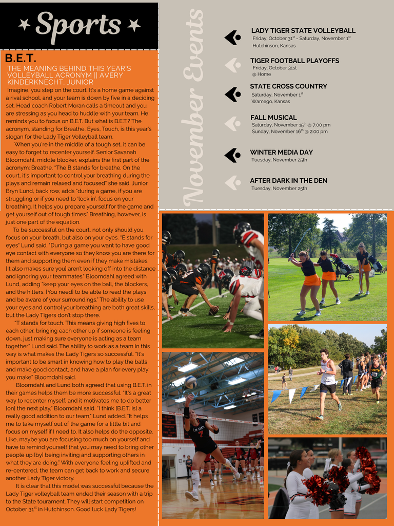 The November Tiger Talks Newsletter is here! #celebrate